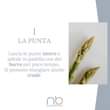 Potrebbe essere un'immagine raffigurante il seguente testo "1 LA PUNTA Lascia le punte intere e saltale in padella con del burro per poco tempo. Si possono mangiare anche crude. no NUOVABISTROT"